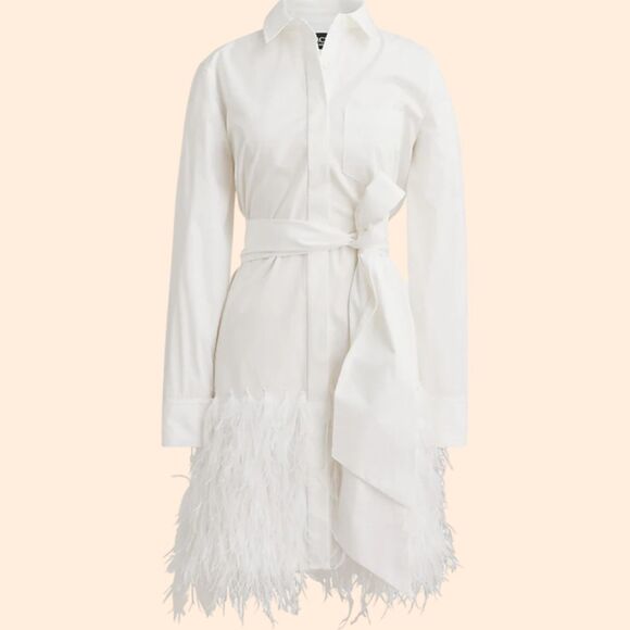 J.Crew Collection Feather Hem Shirt Dress - Picture 1 of 8
